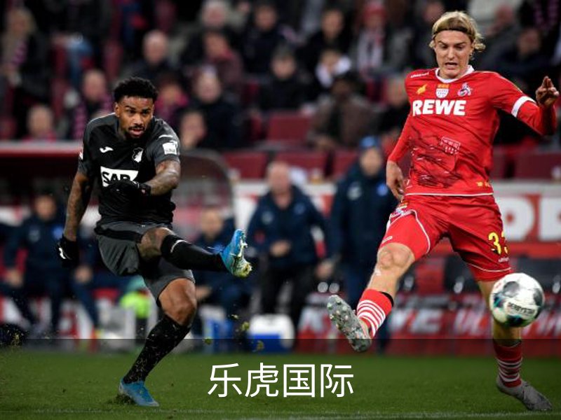 关于乐虎国际